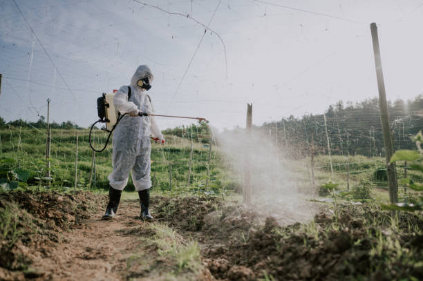Best Mosquito Control Services  in Fredericksburg, VA