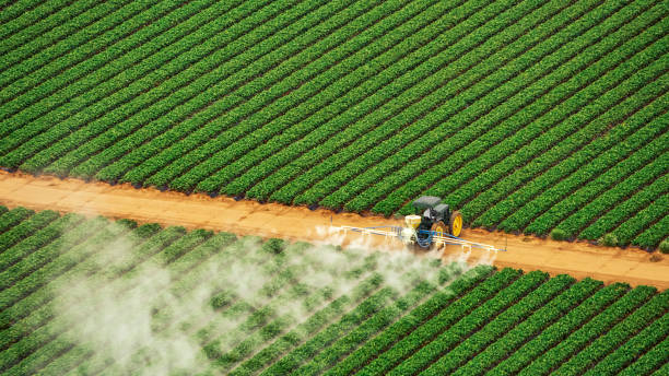 Best Termite Control Services  in Fredericksburg, VA