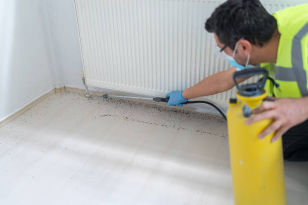 Best Wasp Removal Services  in Fredericksburg, VA